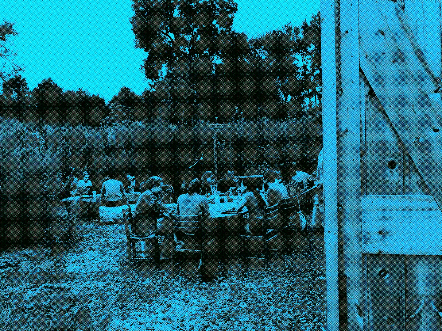 Students eat outdoors at Yale Landscape Lab